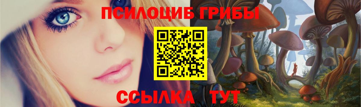Псилоцибиновые грибы Psilocybe  Вход с VPN  Жигулёвск  Галлюциногенные грибы Magic Shrooms 